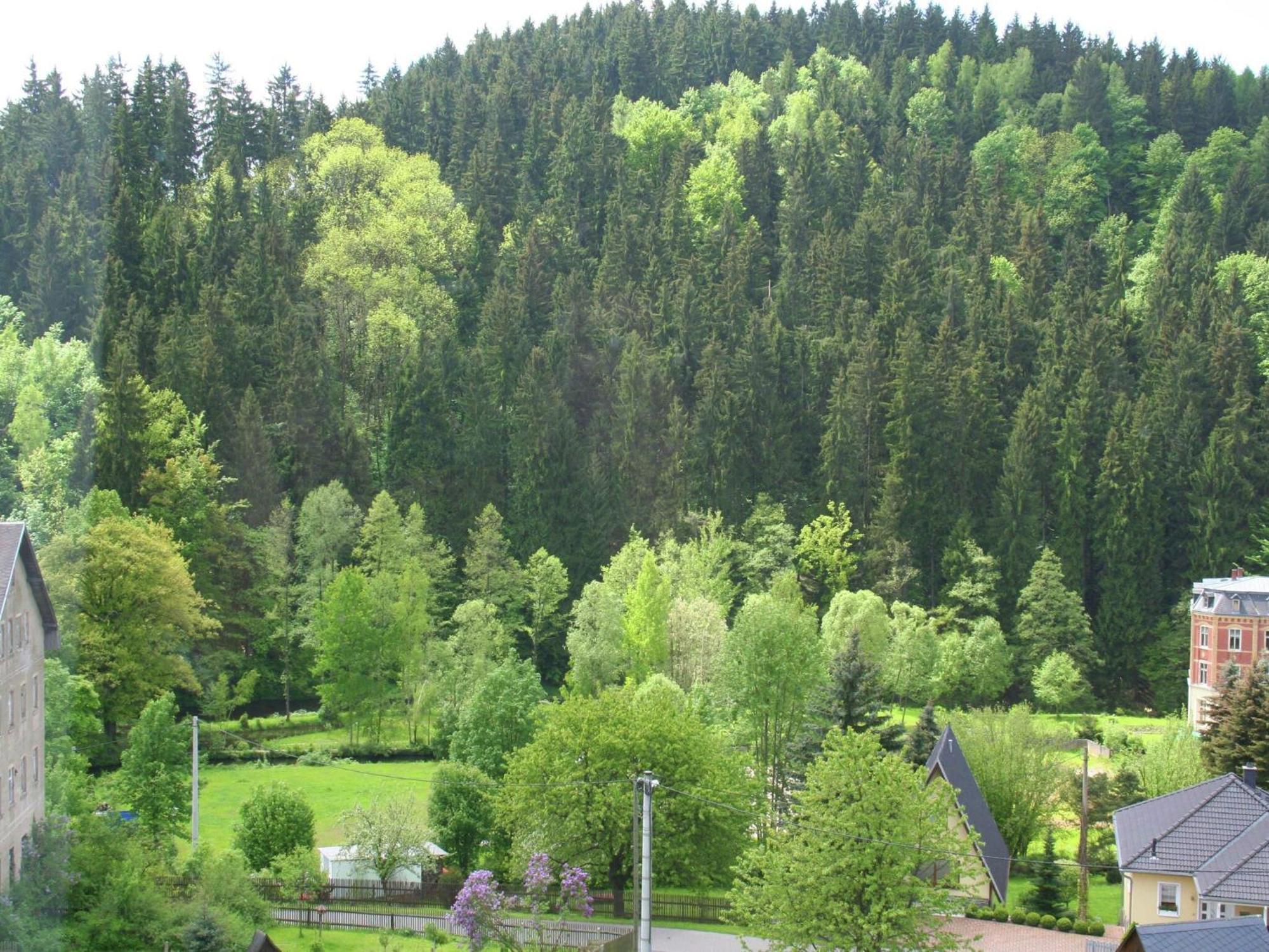 Alluring Villa In Grunhainichen Borstendorf With Garden Leubsdorf Buitenkant foto