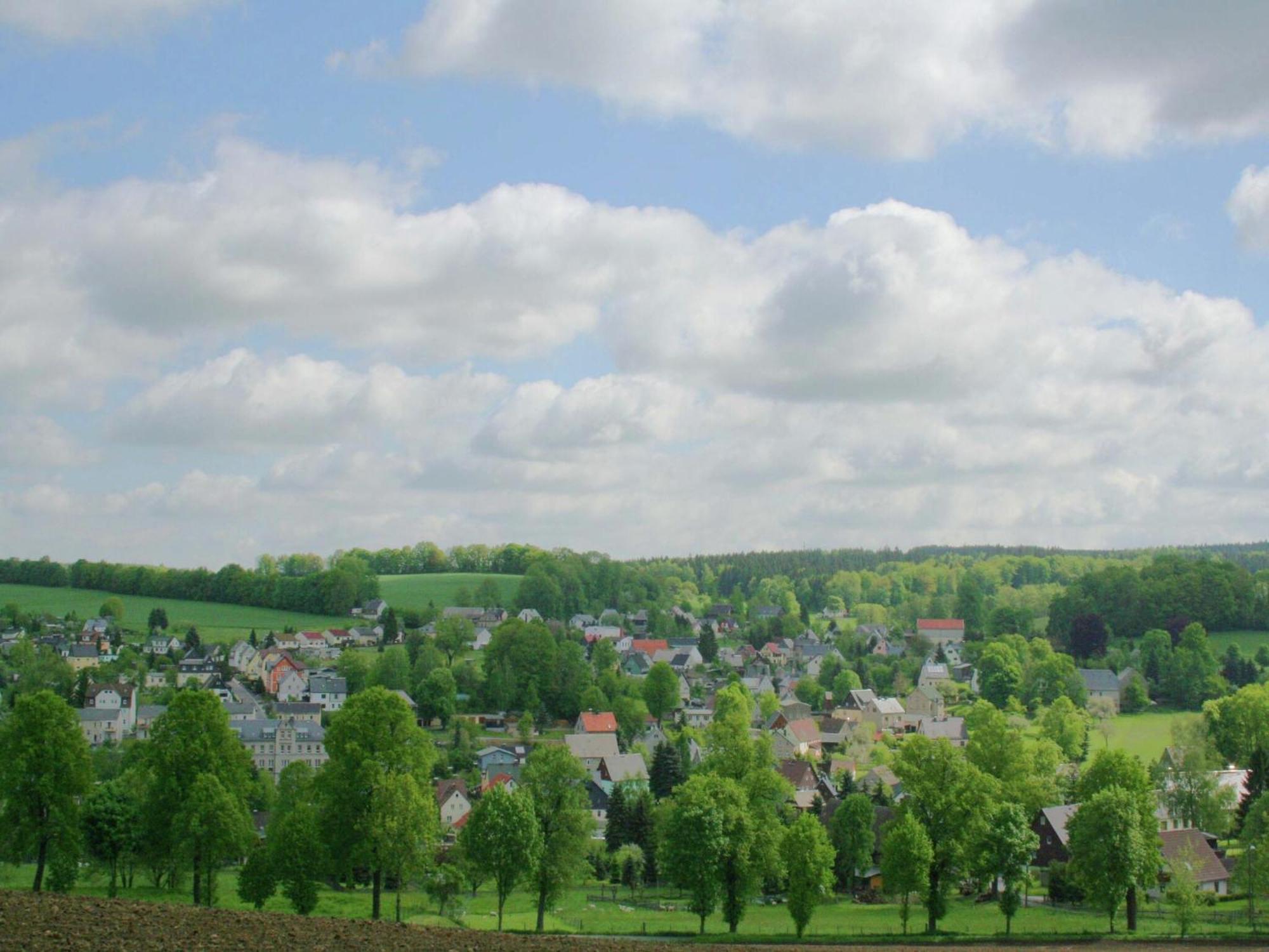 Alluring Villa In Grunhainichen Borstendorf With Garden Leubsdorf Buitenkant foto
