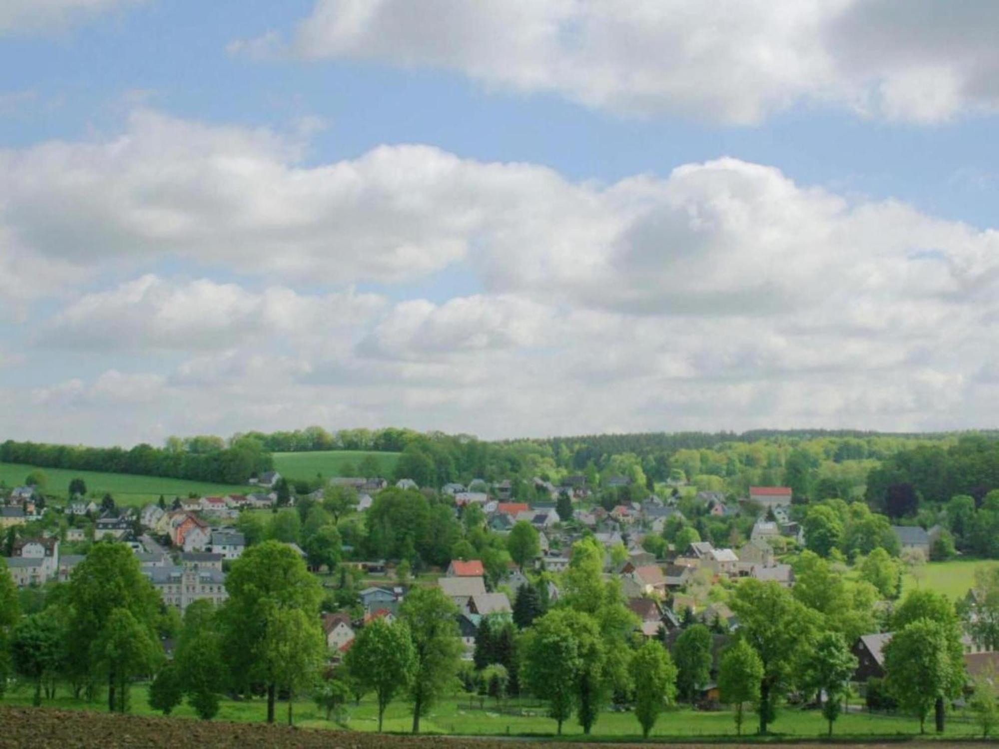 Alluring Villa In Grunhainichen Borstendorf With Garden Leubsdorf Buitenkant foto
